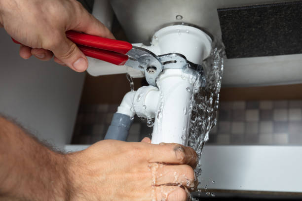 Best Water damage restoration cost  in Walnut Hill, TN