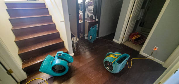  Walnut Hill, TN Water damage restoration Pros