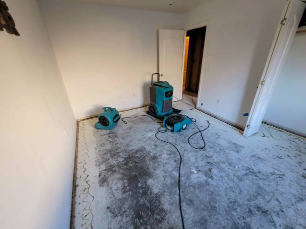Best 24-hour water damage restoration  in Walnut Hill, TN