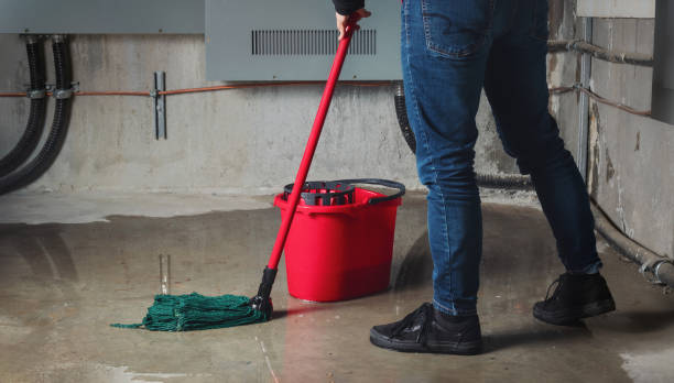 Best Water damage restoration near me  in Walnut Hill, TN