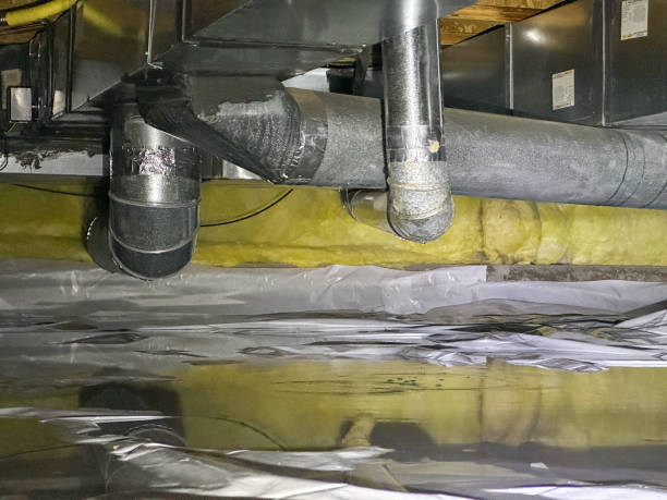 Best Flood restoration services  in Walnut Hill, TN
