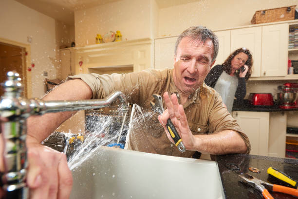 Best Water damage restoration near me  in Walnut Hill, TN